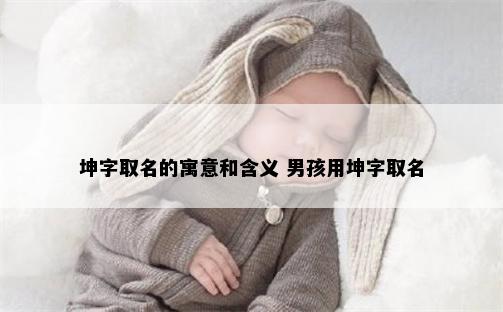 坤字取名的寓意和含义 男孩用坤字取名