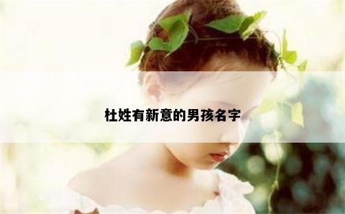 杜姓有新意的男孩名字