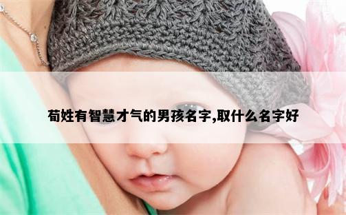 荀姓有智慧才气的男孩名字,取什么名字好