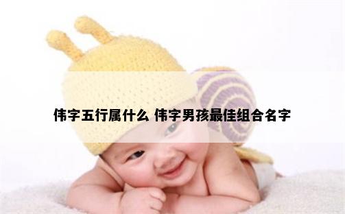 伟字五行属什么 伟字男孩最佳组合名字