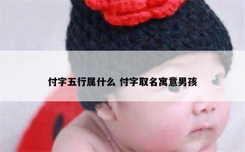 付字五行属什么 付字取名寓意男孩