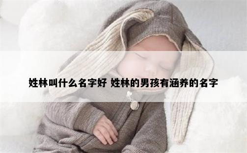 姓林叫什么名字好 姓林的男孩有涵养的名字