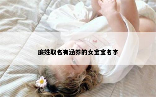 廉姓取名有涵养的女宝宝名字