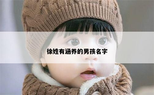 徐姓有涵养的男孩名字