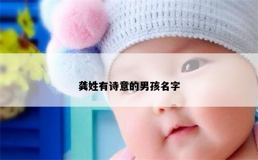 龚姓有诗意的男孩名字