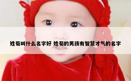 姓荀叫什么名字好 姓荀的男孩有智慧才气的名字