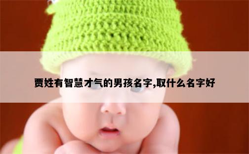 贾姓有智慧才气的男孩名字,取什么名字好