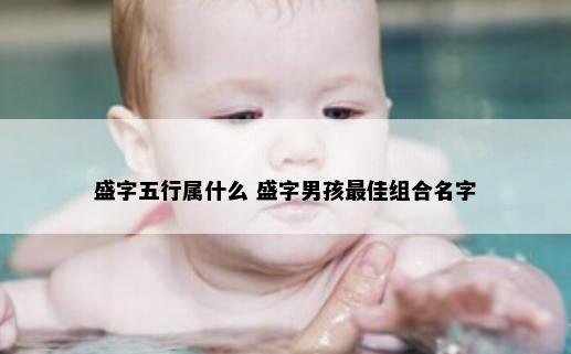 盛字五行属什么 盛字男孩最佳组合名字