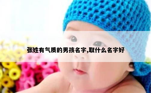 张姓有气质的男孩名字,取什么名字好