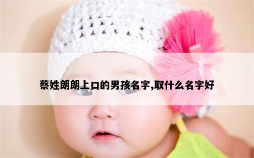 蔡姓朗朗上口的男孩名字,取什么名字好