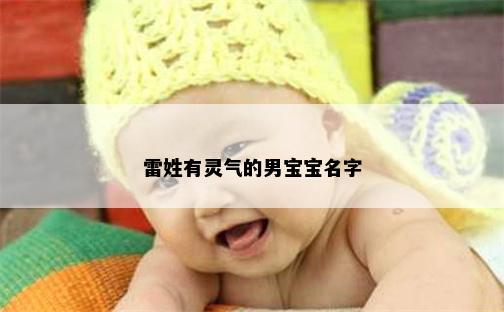 雷姓有灵气的男宝宝名字