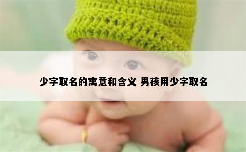 少字取名的寓意和含义 男孩用少字取名