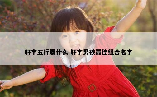 轩字五行属什么 轩字男孩最佳组合名字