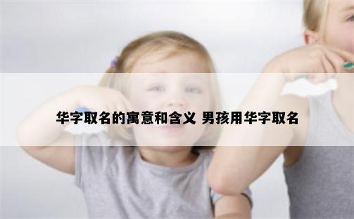 华字取名的寓意和含义 男孩用华字取名