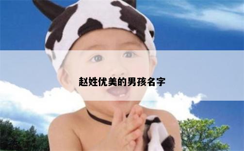赵姓优美的男孩名字