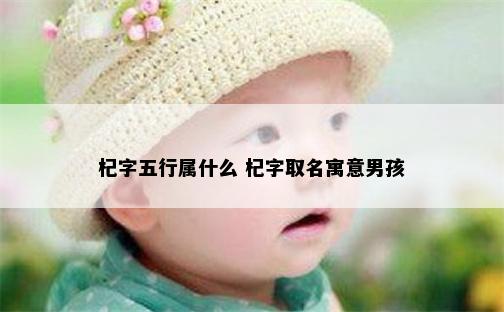 杞字五行属什么 杞字取名寓意男孩