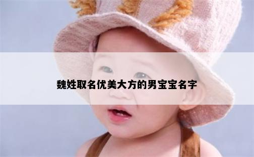 魏姓取名优美大方的男宝宝名字