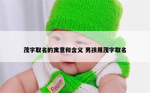 茂字取名的寓意和含义 男孩用茂字取名