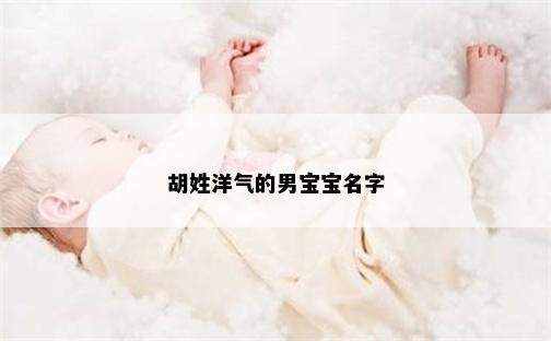 胡姓洋气的男宝宝名字