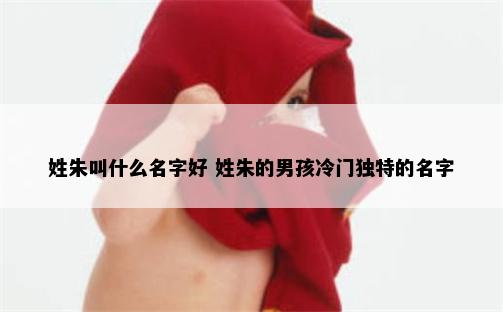 姓朱叫什么名字好 姓朱的男孩冷门独特的名字