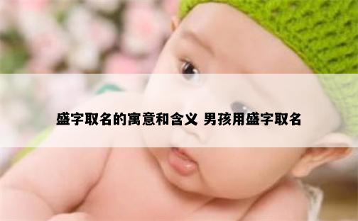 盛字取名的寓意和含义 男孩用盛字取名