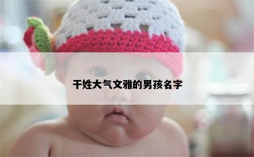 干姓大气文雅的男孩名字