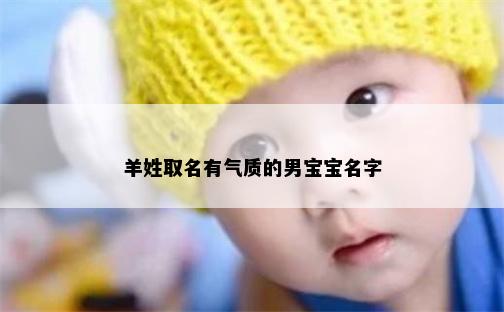 羊姓取名有气质的男宝宝名字