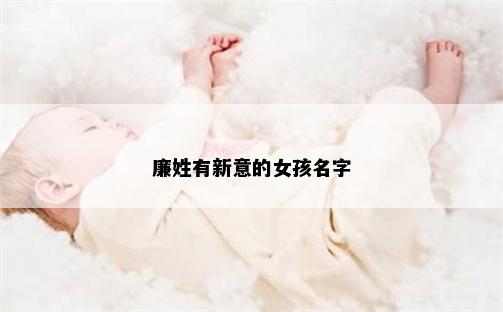 廉姓有新意的女孩名字