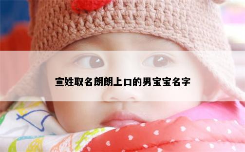宣姓取名朗朗上口的男宝宝名字