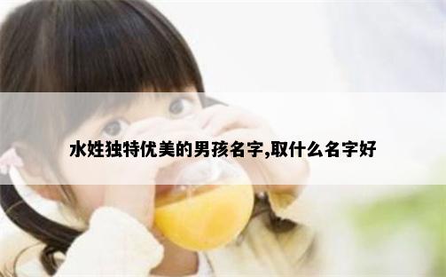 水姓独特优美的男孩名字,取什么名字好
