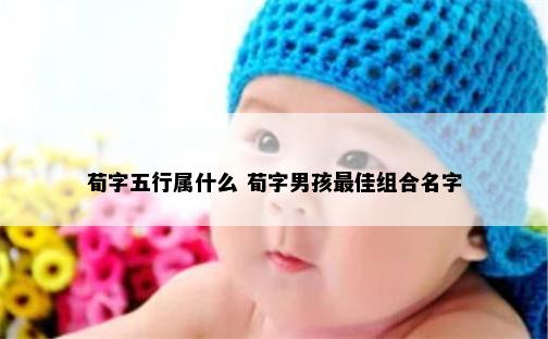 荀字五行属什么 荀字男孩最佳组合名字