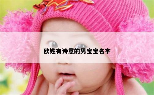 欧姓有诗意的男宝宝名字