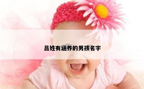 吕姓有涵养的男孩名字