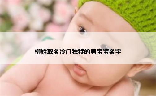 柳姓取名冷门独特的男宝宝名字