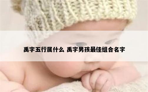 禹字五行属什么 禹字男孩最佳组合名字