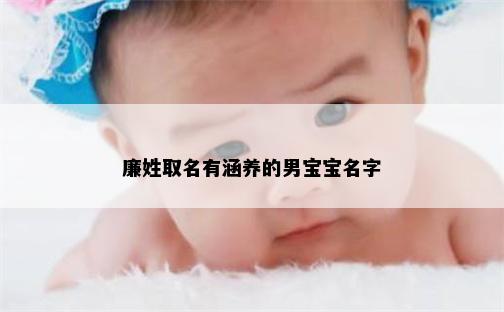 廉姓取名有涵养的男宝宝名字