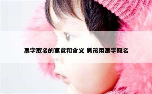 禹字取名的寓意和含义 男孩用禹字取名