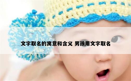 文字取名的寓意和含义 男孩用文字取名