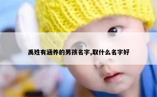 禹姓有涵养的男孩名字,取什么名字好