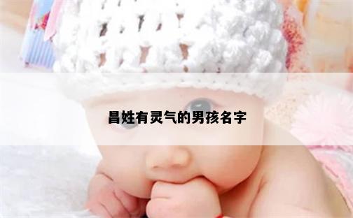 昌姓有灵气的男孩名字