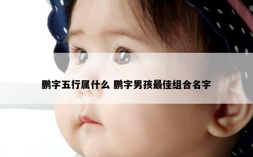 鹏字五行属什么 鹏字男孩最佳组合名字