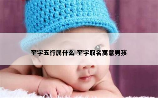 奎字五行属什么 奎字取名寓意男孩