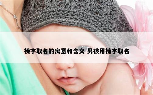 榛字取名的寓意和含义 男孩用榛字取名