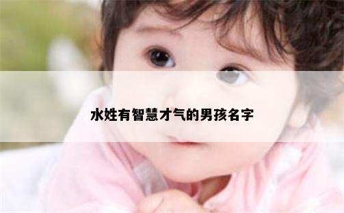 水姓有智慧才气的男孩名字