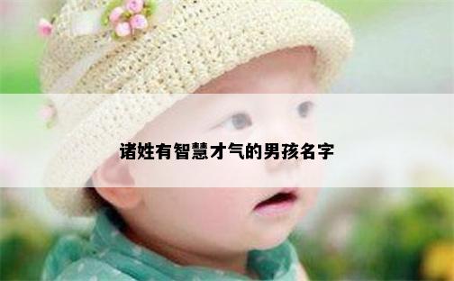诸姓有智慧才气的男孩名字