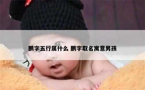 鹏字五行属什么 鹏字取名寓意男孩