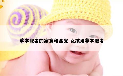 葶字取名的寓意和含义 女孩用葶字取名