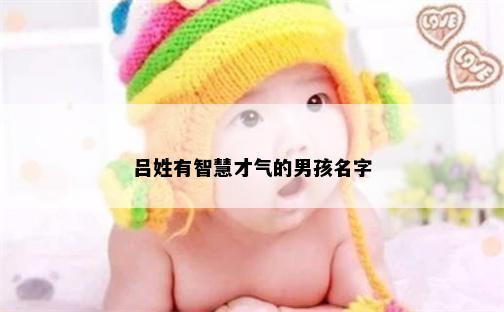 吕姓有智慧才气的男孩名字