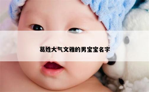 葛姓大气文雅的男宝宝名字
