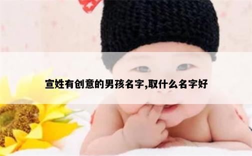 宣姓有创意的男孩名字,取什么名字好